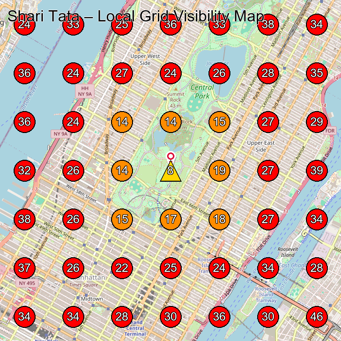 Shari Tata GeoGrid visibility map for Women'S Clothing Store in New York